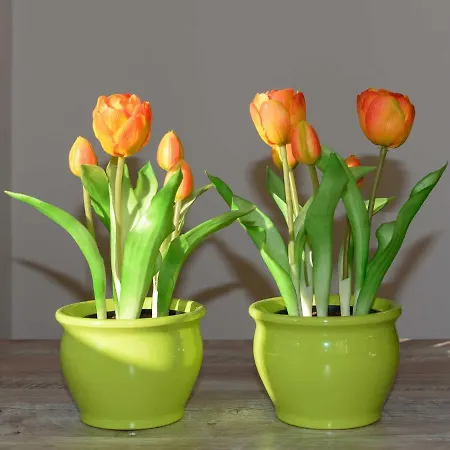 Sielhof Ditzum, 45222 *